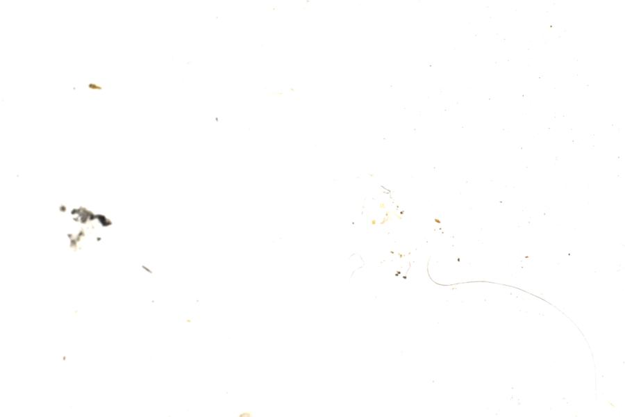 Image 69